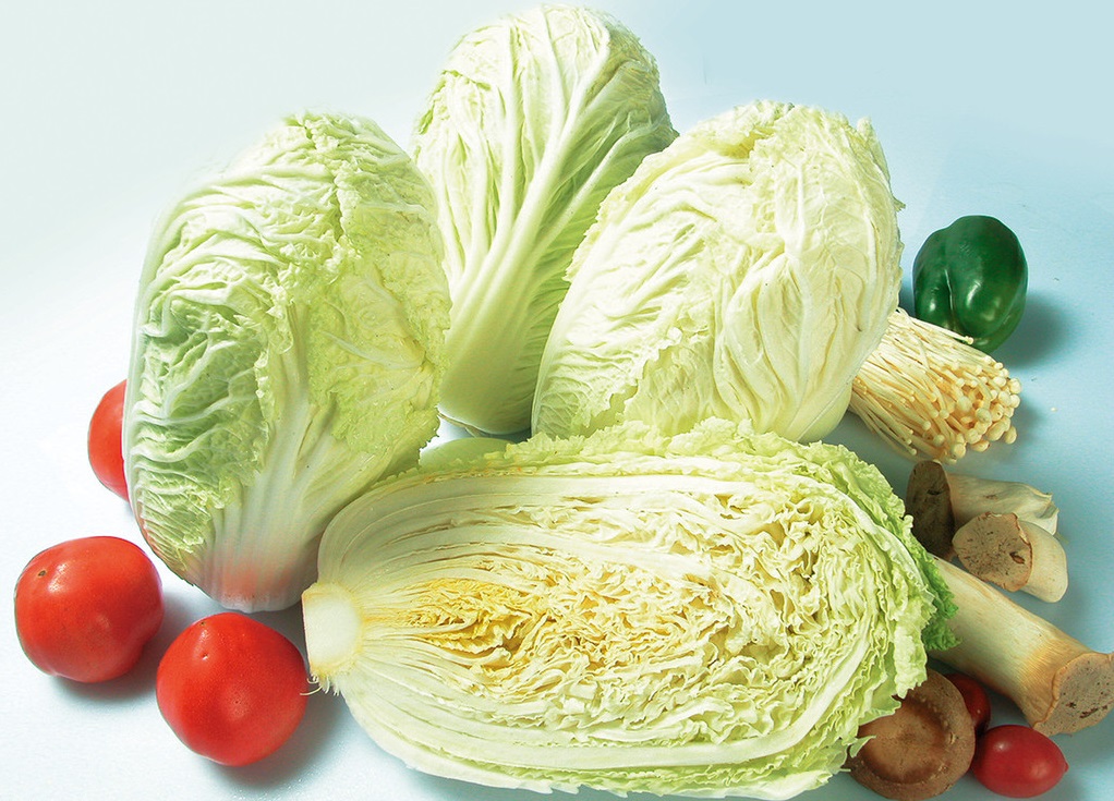 百菜不如白菜，大白菜軟腐病的防治方法