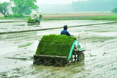 殺蟲劑廠家，殺菌劑，沖施肥，葉面肥，植物生長調(diào)節(jié)劑，農(nóng)藥廠家