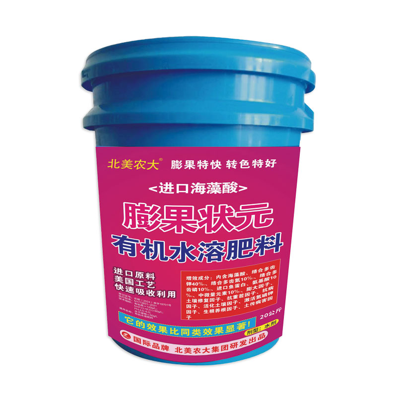 進口海藻酸膨果狀元