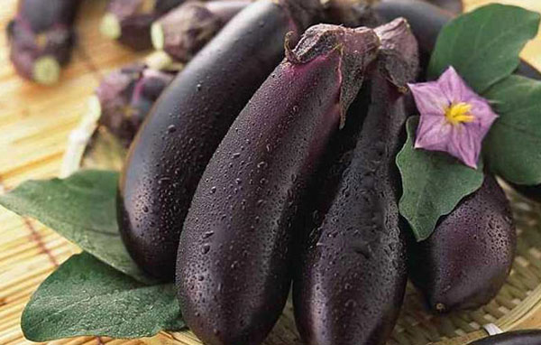 茄子水溶肥,葉面肥,沖施肥,進口水溶肥 茄子水溶肥,葉面肥,沖施肥,進口水溶肥