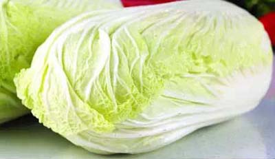 百菜不如白菜，大白菜軟腐病的防治方法